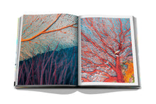 Load image into Gallery viewer, The Coral Triangle