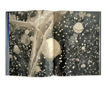 Load image into Gallery viewer, Gondwana - Images of an Ancient Land