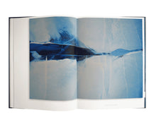 Load image into Gallery viewer, Gondwana - Images of an Ancient Land