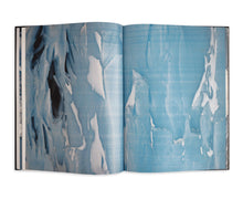 Load image into Gallery viewer, Gondwana - Images of an Ancient Land