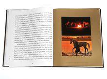 Load image into Gallery viewer, Arabian Horses