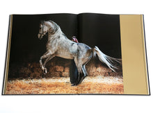 Load image into Gallery viewer, Arabian Horses