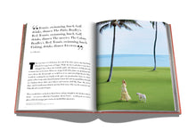 Load image into Gallery viewer, Palm Beach