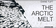 Load image into Gallery viewer, The Arctic Melt