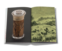 Load image into Gallery viewer, Cocaïn: History & Culture