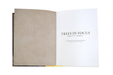 Load image into Gallery viewer, Trees in Focus