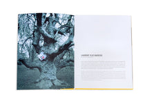 Load image into Gallery viewer, Trees in Focus