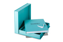 Load image into Gallery viewer, Windows at Tiffany and Co.