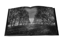 Load image into Gallery viewer, The Light of London