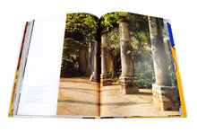 Load image into Gallery viewer, La Colombe d'Or
