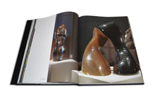 Load image into Gallery viewer, Stephan Weiss: Connecting the Dots
