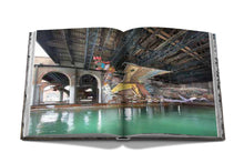 Load image into Gallery viewer, Venetian Chic
